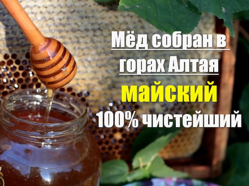 Алтайский горный мёд настоящий